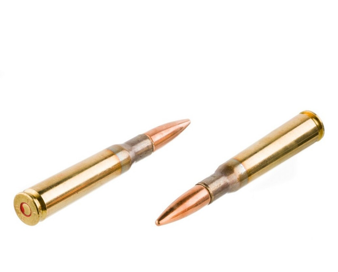 50 Cal BMG - 660 Grain FMJBT - PMC - 200 Rounds
