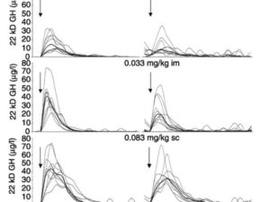 Black Cloud FS Steel, 12 Gauge, BB Shot, 3-1/2 in, 1 1/2 oz, 1500 fps
