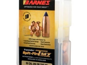 50 CAL 250 GR SPIT-FIRE TMZ BT 24 ROUNDS