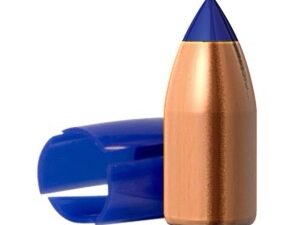 50 CAL 290 GR SPIT-FIRE T-EZ FB 24 Rounds