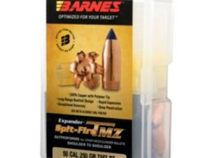 50 CAL 290 GR SPIT-FIRE TMZ BT 24 Rounds