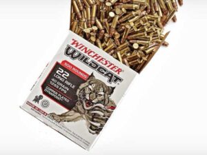 22 LR WINCHESTER WILDCAT 40 GRAIN CPHP (5000 ROUNDS)