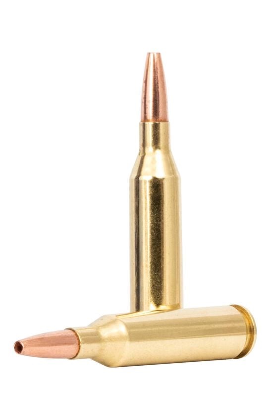 Core-Lokt Copper, 243 Win, 85 Grain, Copper HP, 3200 fps - Image 3